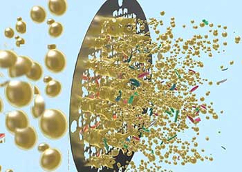 Indication-based protocols with different solutions for mechanical stromal-cell transfer